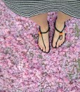 GladSoles-Flowers