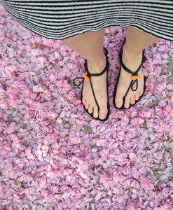 GladSoles-Flowers